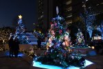 DSC_1901