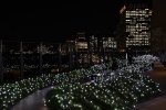 DSC_1927