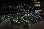 DSC_1928