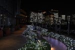 DSC_1936