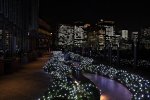 DSC_1937