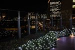 DSC_1938