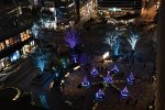 DSC_1941
