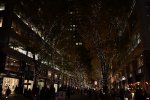 DSC_2153
