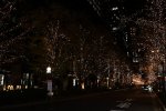 DSC_2195
