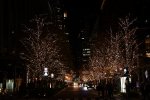 DSC_2197