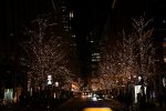 DSC_2198
