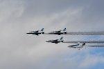 DSC_3911