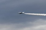 DSC_3916