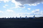 DSC_3453