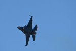 DSC_5194