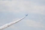 DSC_5364