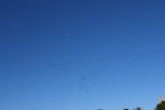 DSC_6331