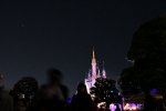 DSC_6396