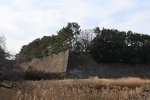 DSC_7968