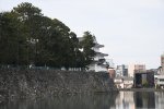 DSC_8020
