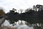 DSC_8079