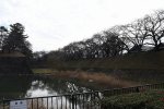 DSC_8096