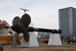 DSC_8561