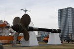 DSC_8562