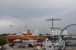 DSC_8787