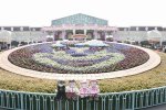 DSC_7347