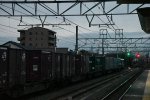 DSC_9652