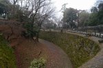DSC_0779