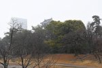 DSC_9805
