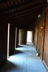 DSC_0684