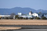 DSC_1236