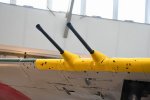 DSC_1919