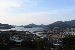 DSC_1954