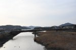 DSC_1960