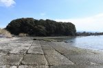 Dcim19237/DSC_2115