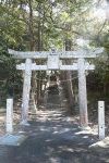 DSC_2243