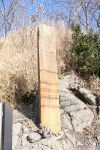 DSC_3311