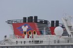 DSC_1130