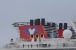 DSC_1131