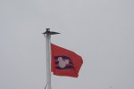 DSC_1204