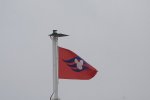 DSC_1212