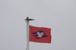 DSC_1213