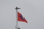 DSC_1241