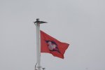 DSC_1248