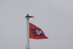 DSC_1250