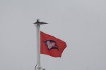 DSC_1251