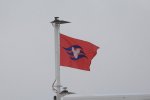 DSC_1252