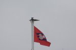 DSC_1255