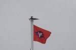 DSC_1256