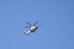 DSC_4852